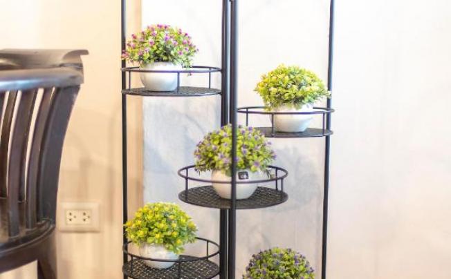 Фото отеля Ming Shou Boutique House