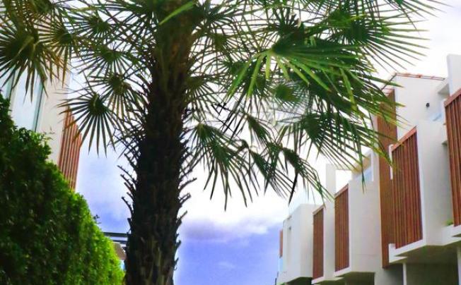 Фото отеля Ace of Hua Hin Resort