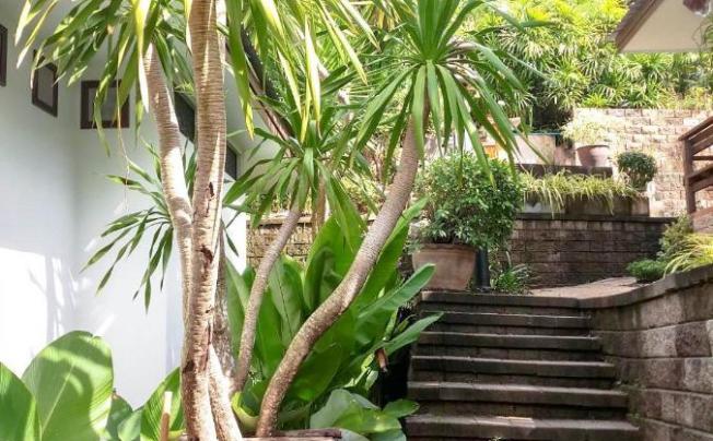 Фото отеля Kata Tranquil Villa