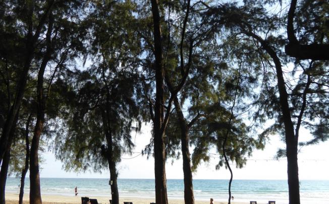 Фото отеля THE ROYAL TROPICAL BEACH CONDOMINIUM