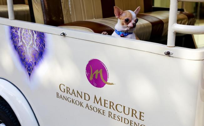Фото отеля Grand Mercure Bangkok Asoke Residence
