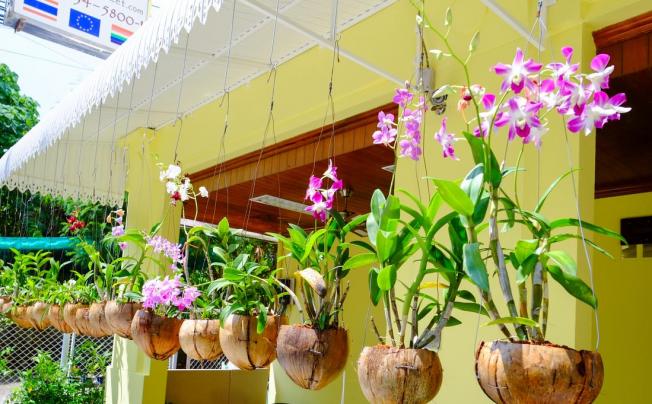 Фото отеля ADONIS GUEST HOUSE