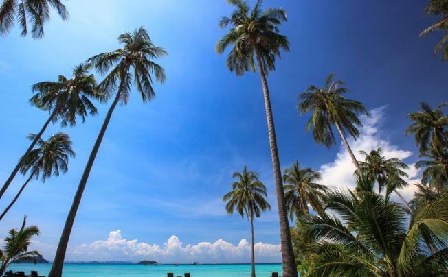 Фото отеля Phi Phi Island Village Beach Resort & Spa