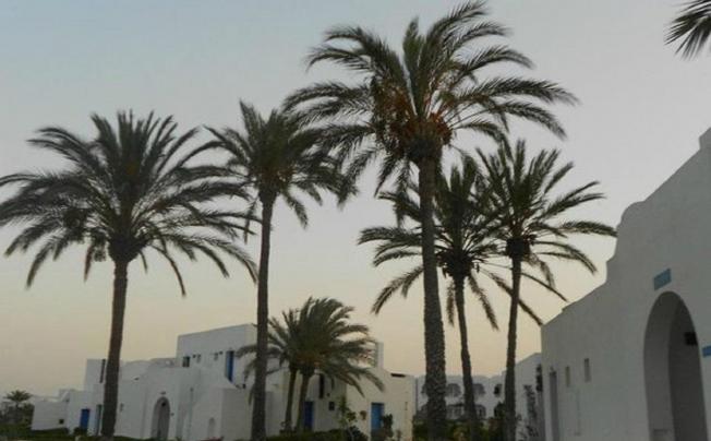 Фото отеля Jerba Sun Club
