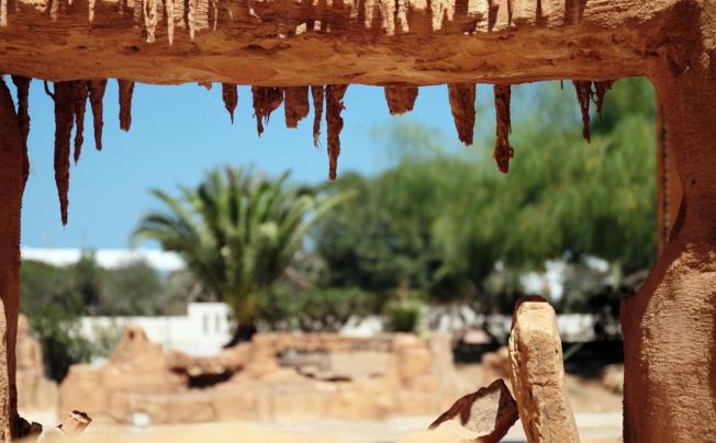 Фото отеля Dar Jerba Al Manara