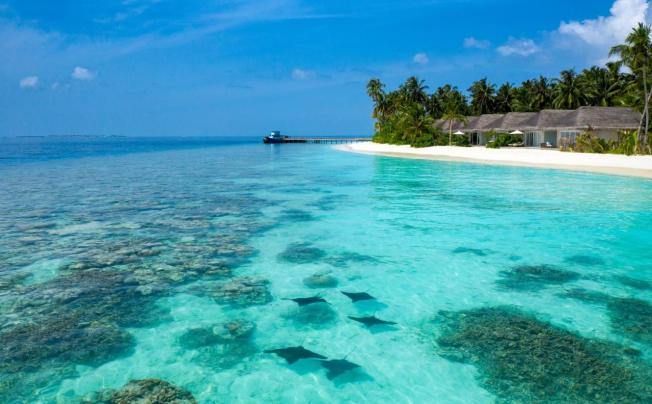 Фото отеля Baglioni Resort Maldives