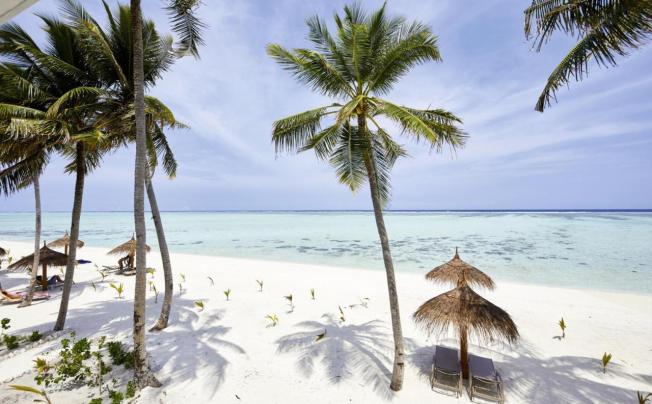 Фото отеля Riu Atoll