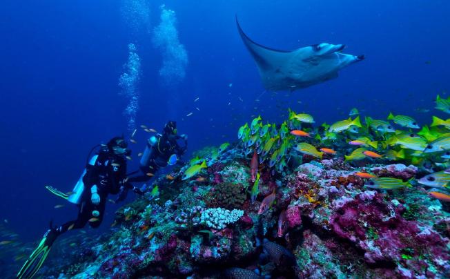 Фото отеля Ozen Life Maadhoo