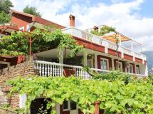 Aleksa Villa 1*