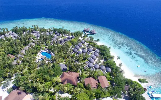 Bandos maldives отзывы